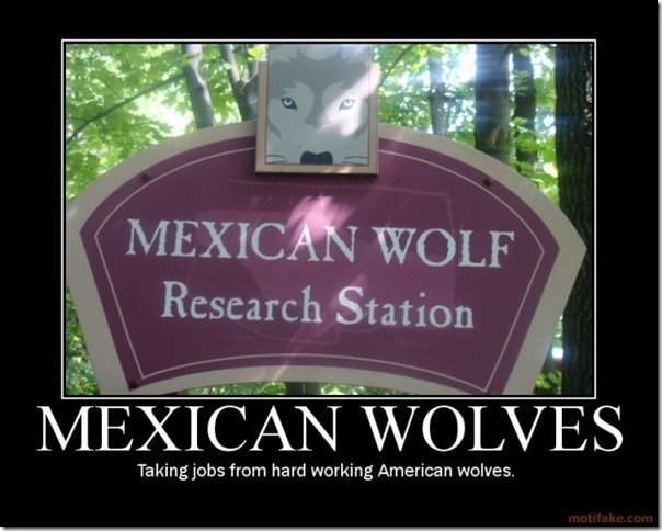 Mexican Wolves