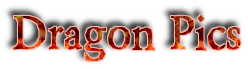 Dragon Pics