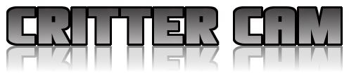 Critter Cam 3