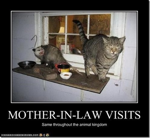 Mother in law visits