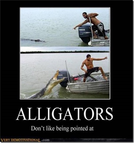 Motivational Alligators