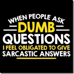 PS_0742_DUMB_QUESTIONS