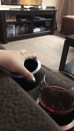 Cat wine spill