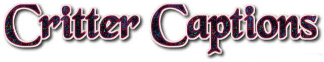 Critter