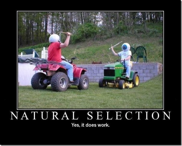 Natural Selection