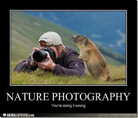 Nature Photographer