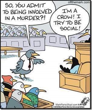 FB_IMG_1488236918565