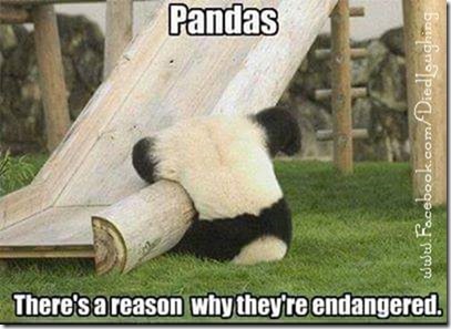 FB_IMG_1488238524118