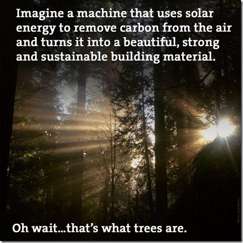 FB_IMG_1488384311480