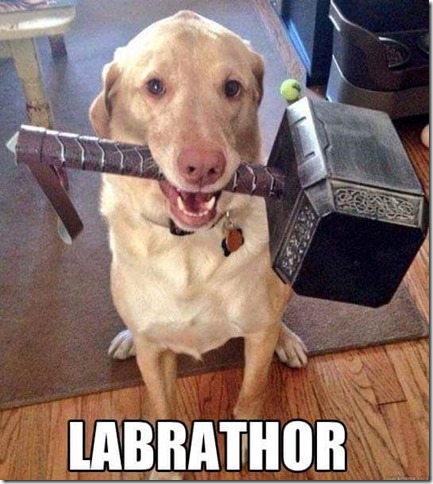 FB_IMG_1488585347796