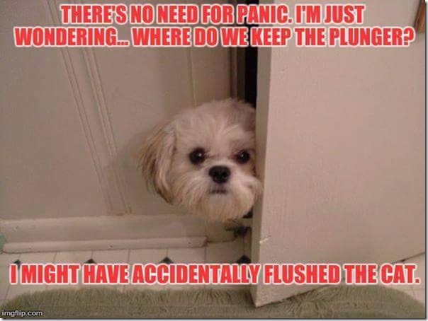 FB_IMG_1489269289037