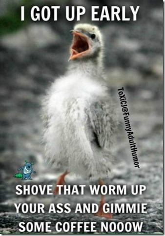 Got Up Early10