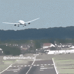 3af29e2e8662d4e5e255c41ffd00881c_width-300