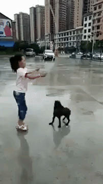 jump rope dog