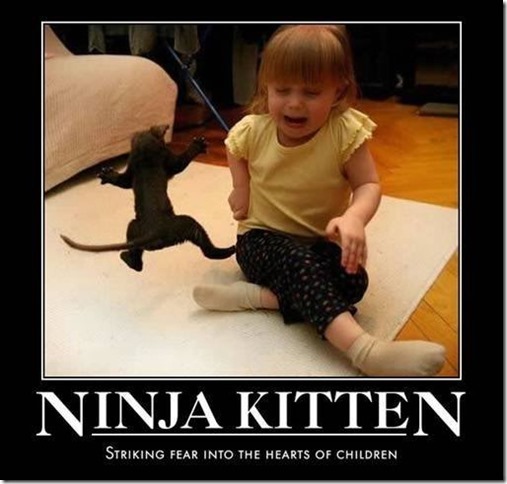 Ninja Kitten