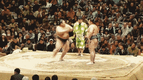 Sumo