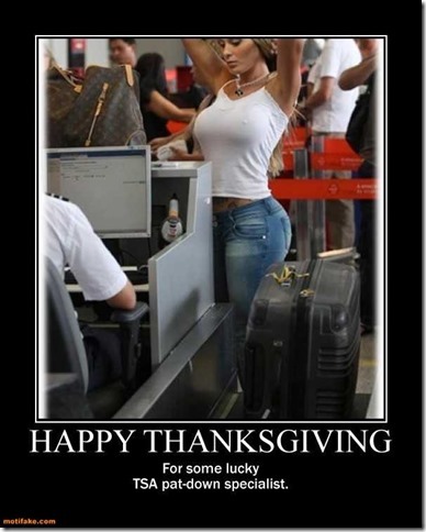 happy-thanksgiving-pat-down-search-airport-breast-demotivational-posters-1385484172