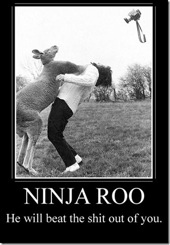 Ninja Roo