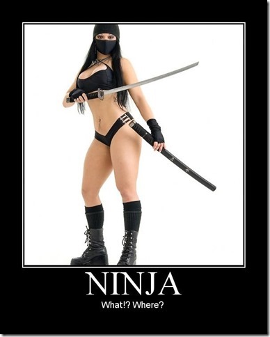 Ninja