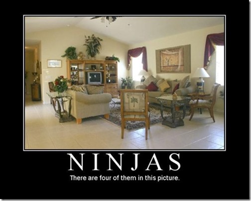 ninjas