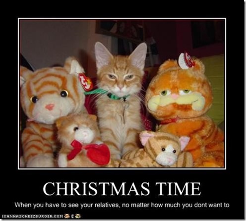 funny-pictures-cat-spends-holidays-with-relatives