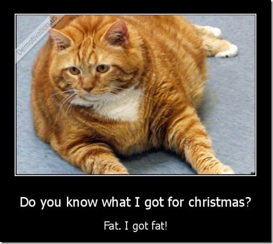 funny_picdump_890_640_03