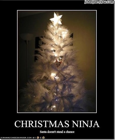 funny_pictures_cat_is_a_christmas_ninja-s450x553-116305-1020
