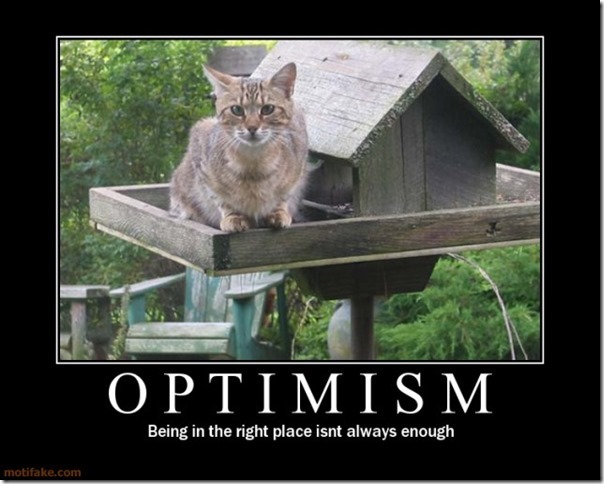 Optimism