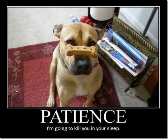 patience3