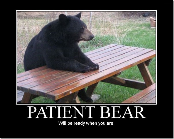 Patient Bear