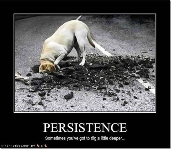 Persistence4