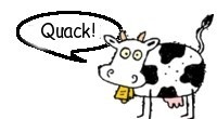 Cow quack