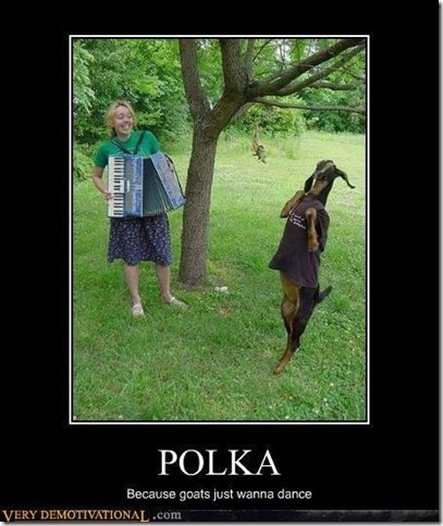 Polka