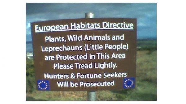 collegehumor.6e74ecbdb2f8f8c5b38f96156cc100c0