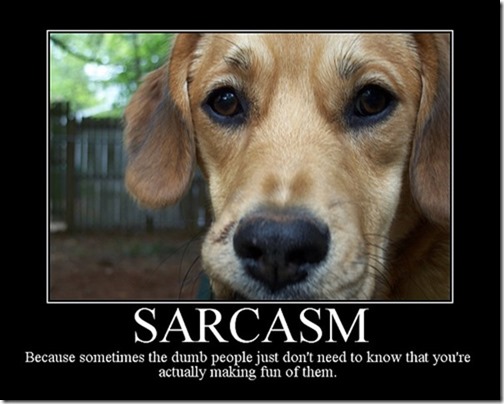 Sarcasm2