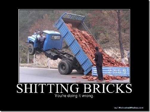 Shitting Bricks
