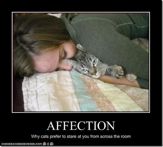 Affection