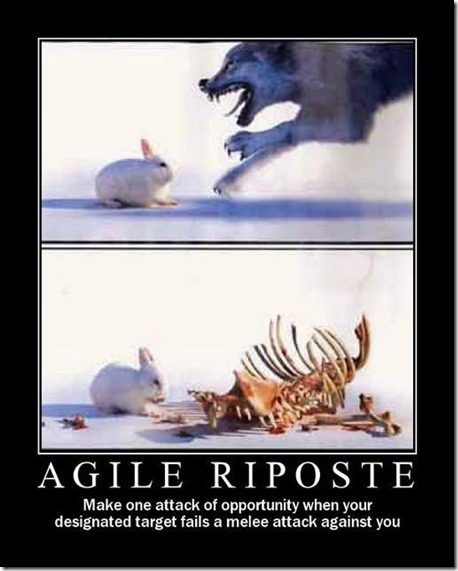 Agile Riposte
