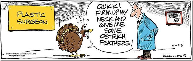 Plastic Surgeon28 (2)