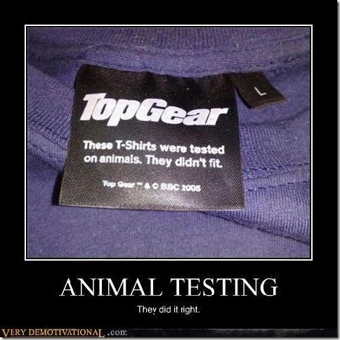 animal testing