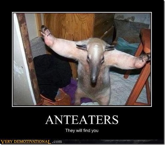 Anteaters