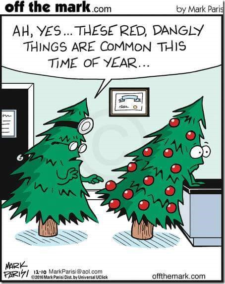 FB_IMG_1481805256415