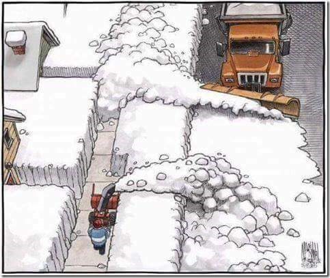 FB_IMG_1481835769407