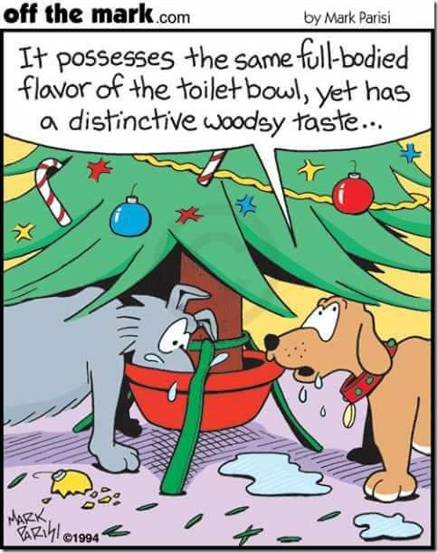 FB_IMG_1482099947344