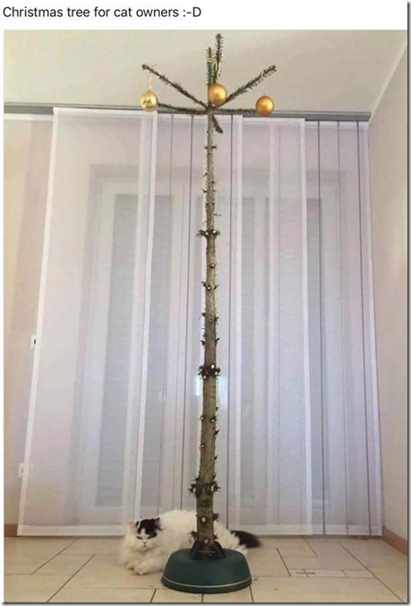 FB_IMG_1482251556548