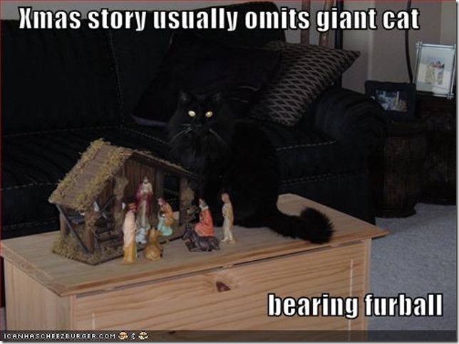 funny-pictures-furball-christmas