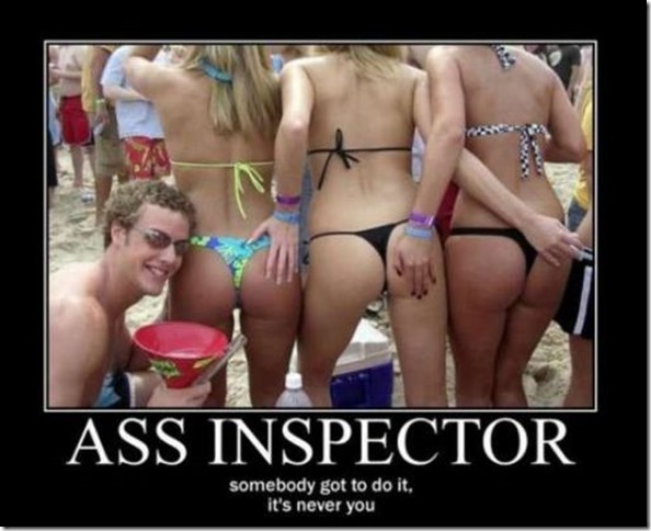Ass Inspector