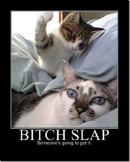 bitch slap