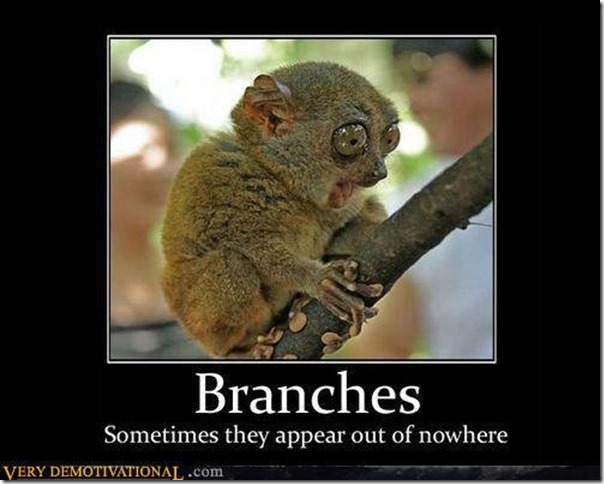 Branches