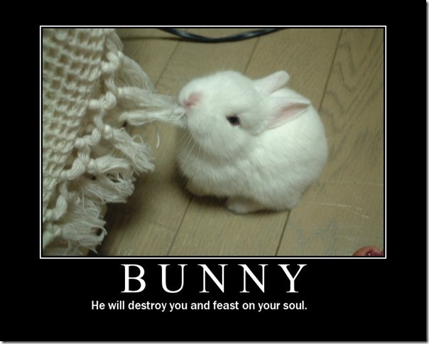 Bunny